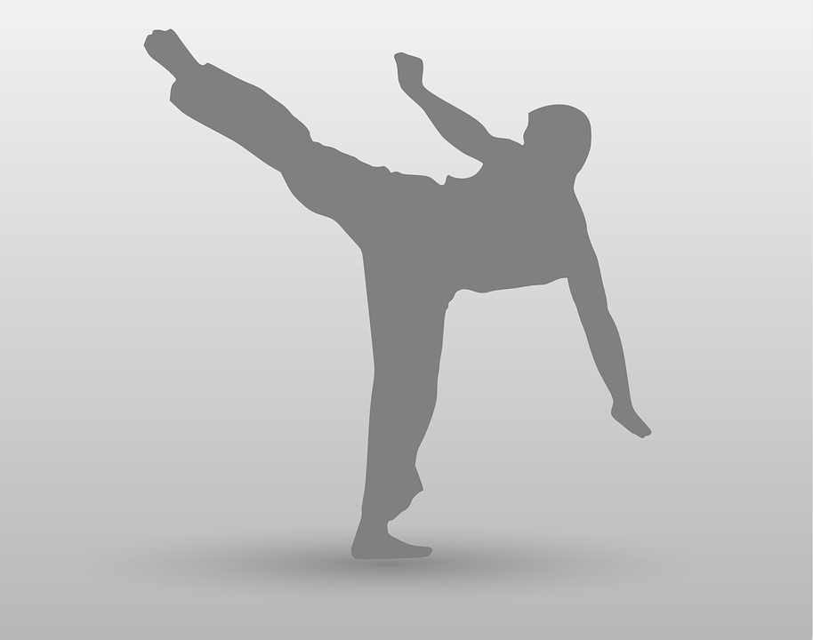 How can martial arts be taught online? Classplus Growth Blog
