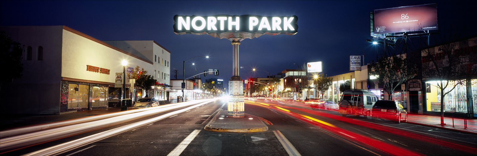 Best Cities for Young Professionals in San Diego County