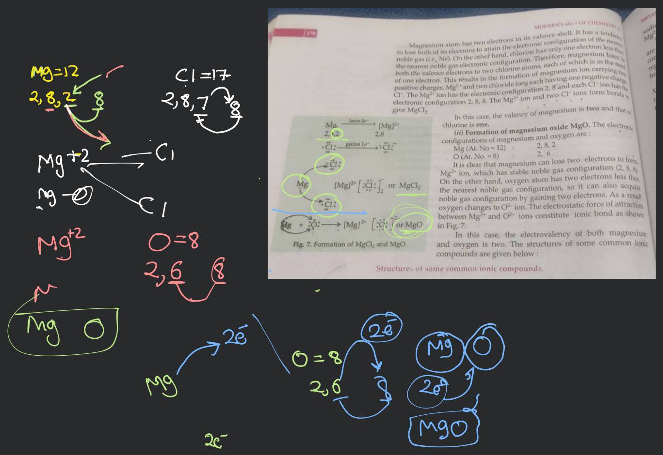 Magnesium atom has two electrons in its valence shell. It has a tendemer