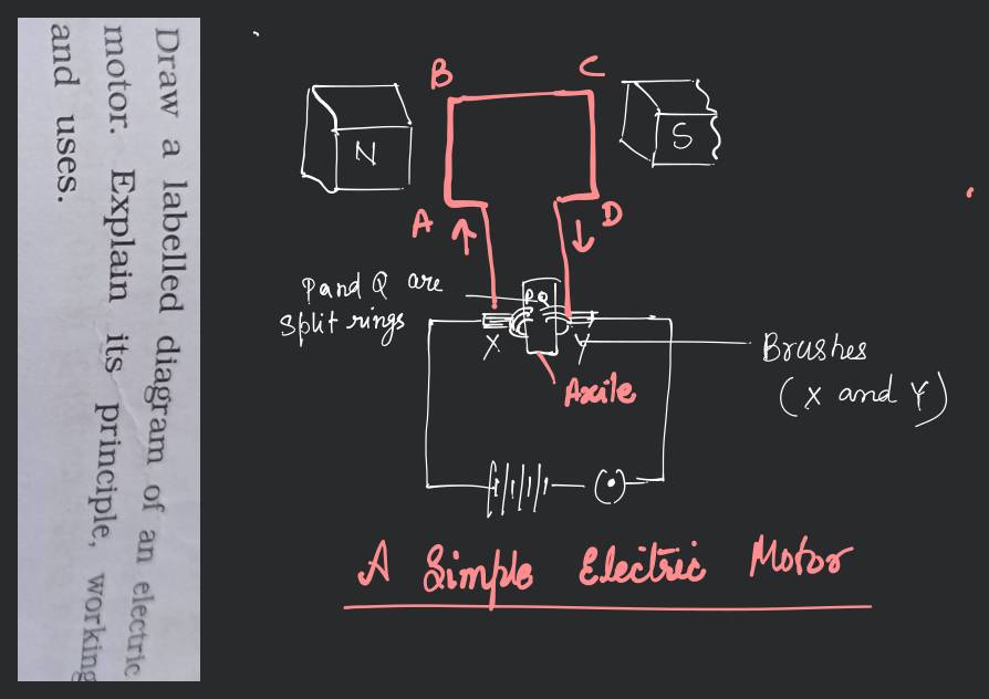 two parts.39. Draw a labelled diagram of an electric motor. Explain its