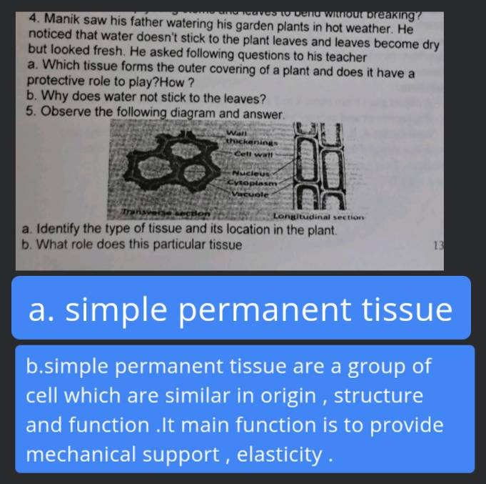 4. Manik saw his father watering his garden plants in hot weather. He not..