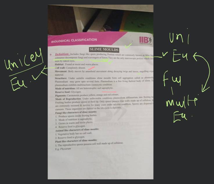 BIOLOGICAL CLASSIFICATION SLIME MOULDS Definition Includes fungi like sp..