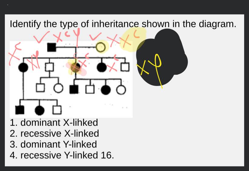 Identify the type of inheritance shown in the diagram. | Filo