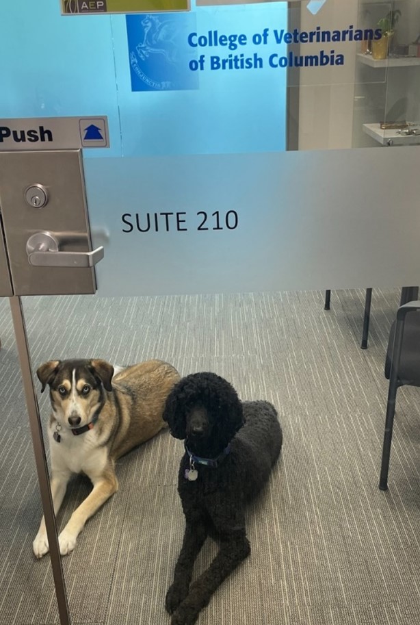 College of Veterinarians of British Columbia