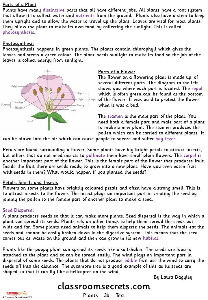 Plants (Ruby) Guided Reading Pack Classroom Secrets