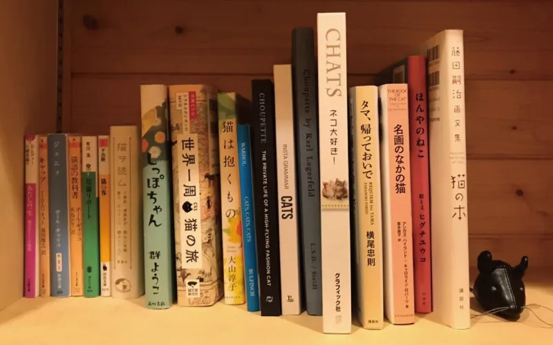 √ 猫小説 泣ける 246269猫小説 泣ける Irasujozmuzv