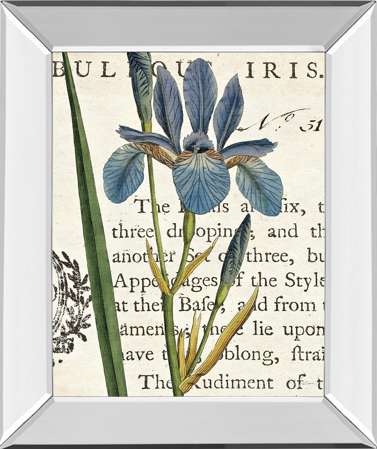 22 in. x 26 in. "Iris Letter" By Sue Schlabach Mirror Framed Print Wall Art Classy Art