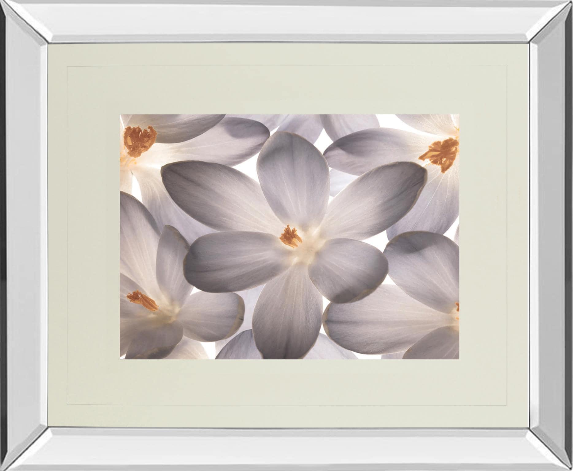 34 in. x 40 in. "Petal Perfect" By Assaf Frank Mirror Framed Print Wall
