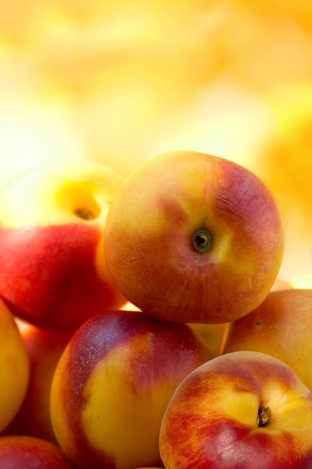 Temp Glass w/ Foil Peach Classy Art