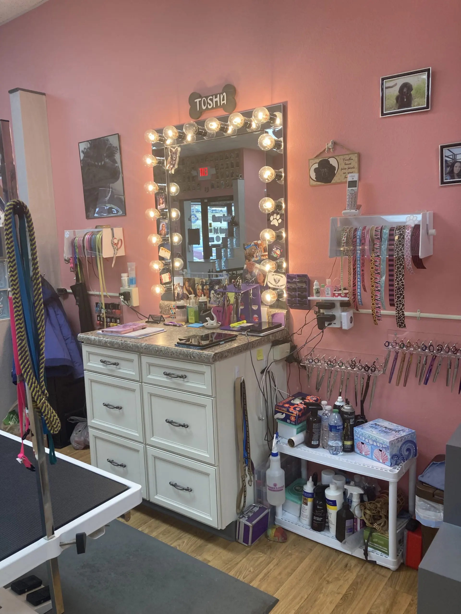 Professional Pet Grooming Classy Canine Rapid City, SD