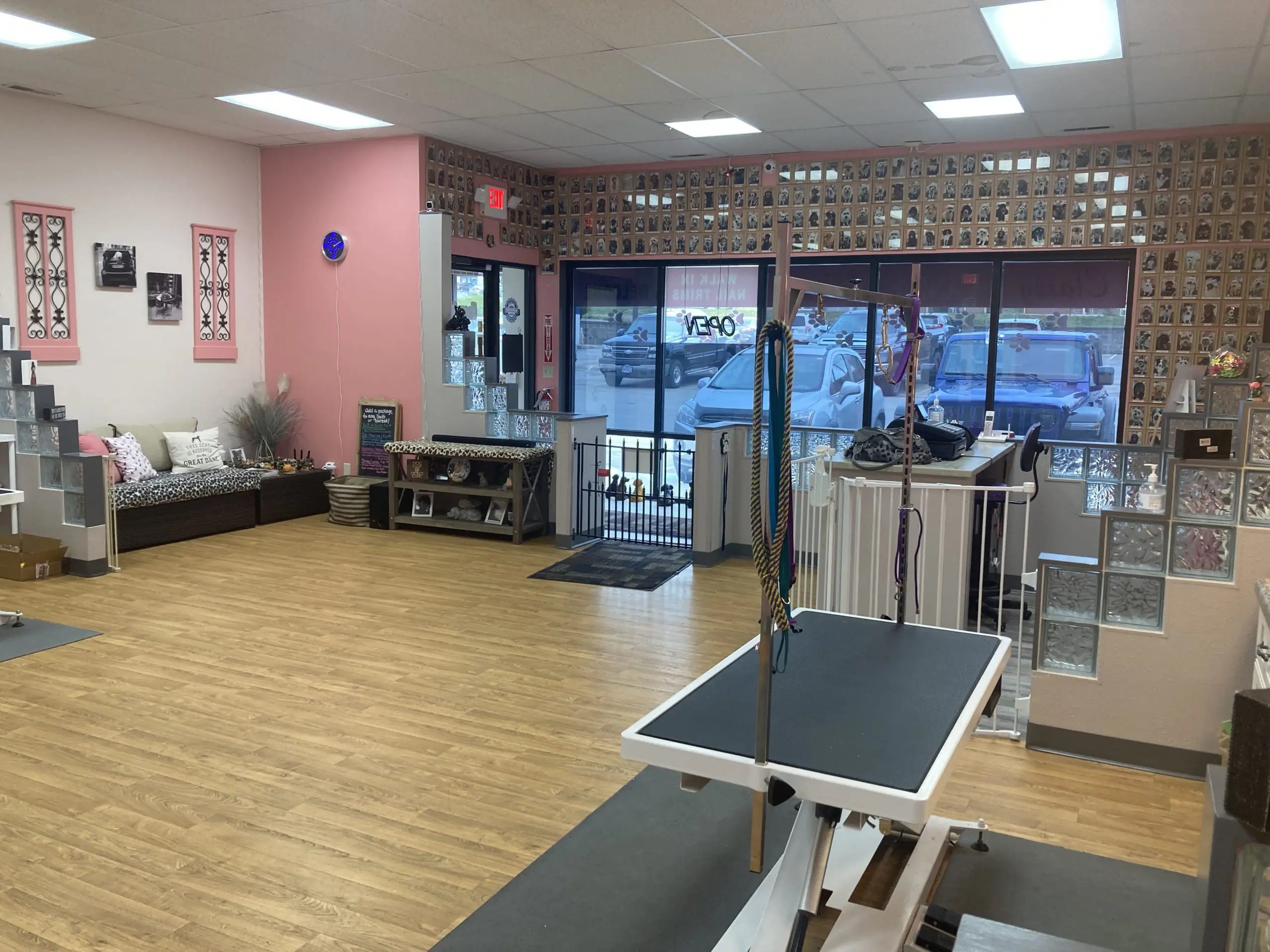 Professional Pet Grooming Classy Canine Rapid City, SD