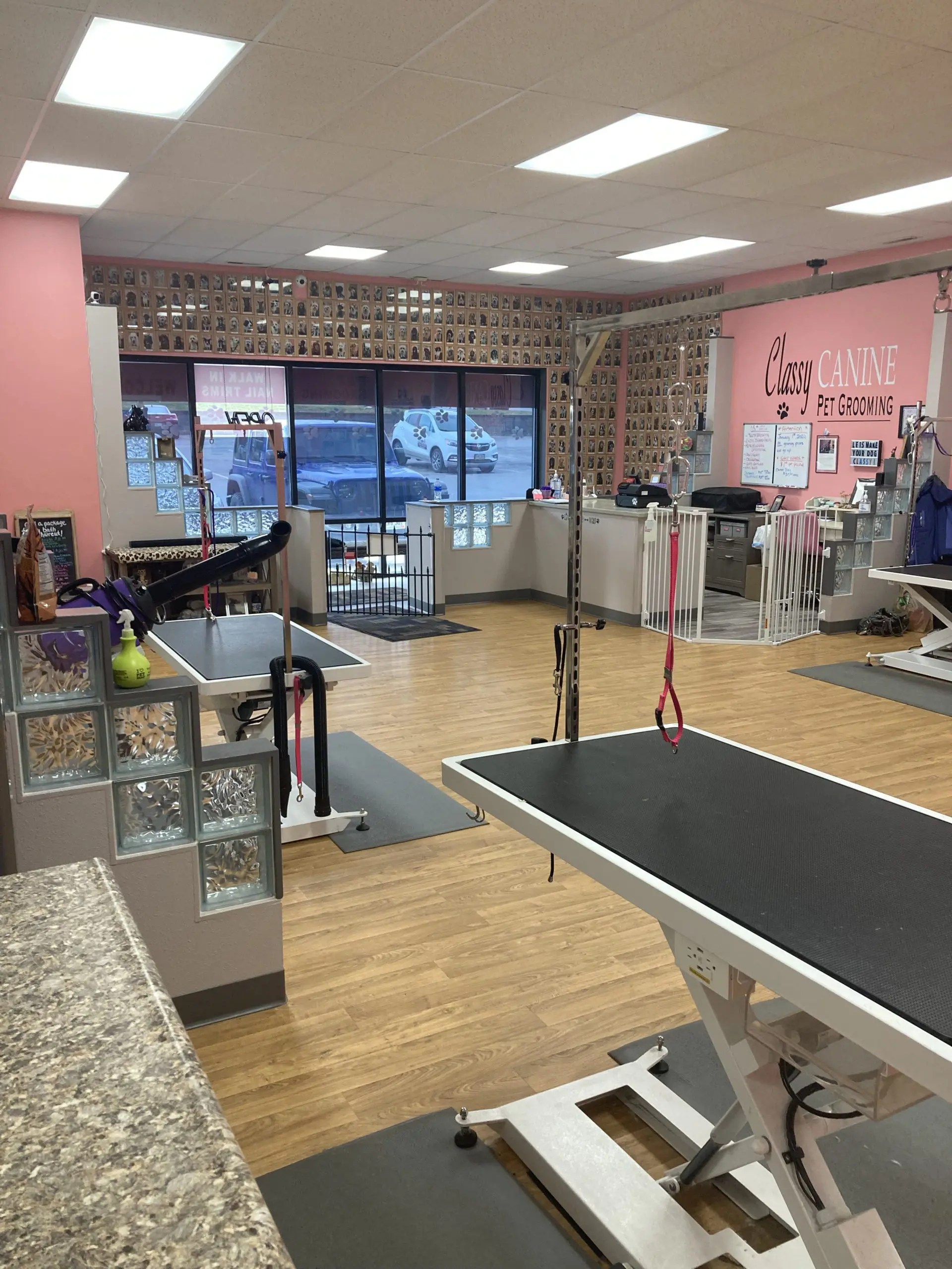 Professional Pet Grooming Classy Canine Rapid City, SD