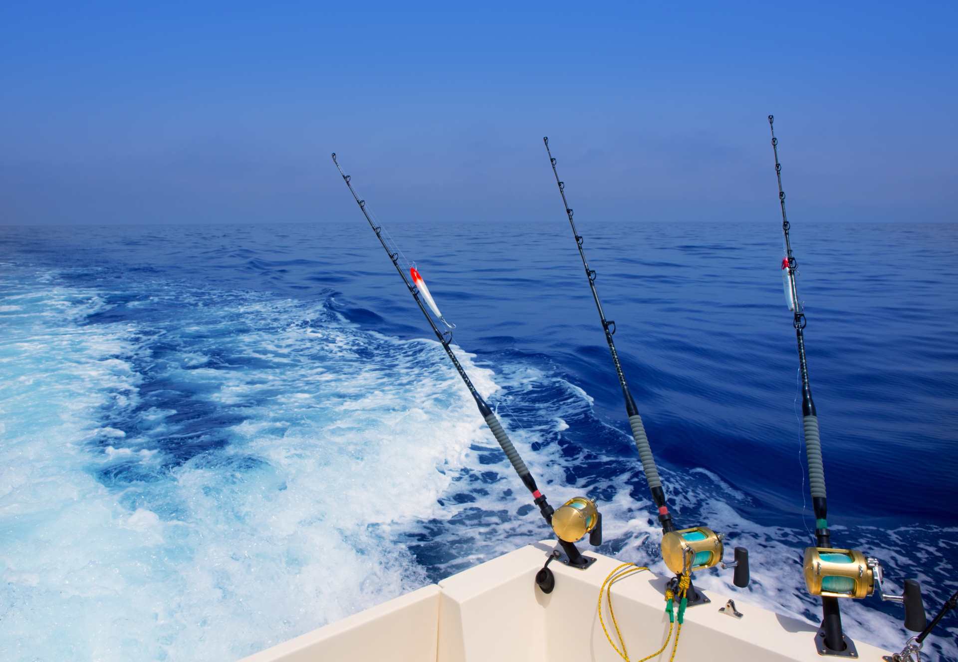Fishing Charters Perth The Classy Lady Perth Boat Charters and Cruises