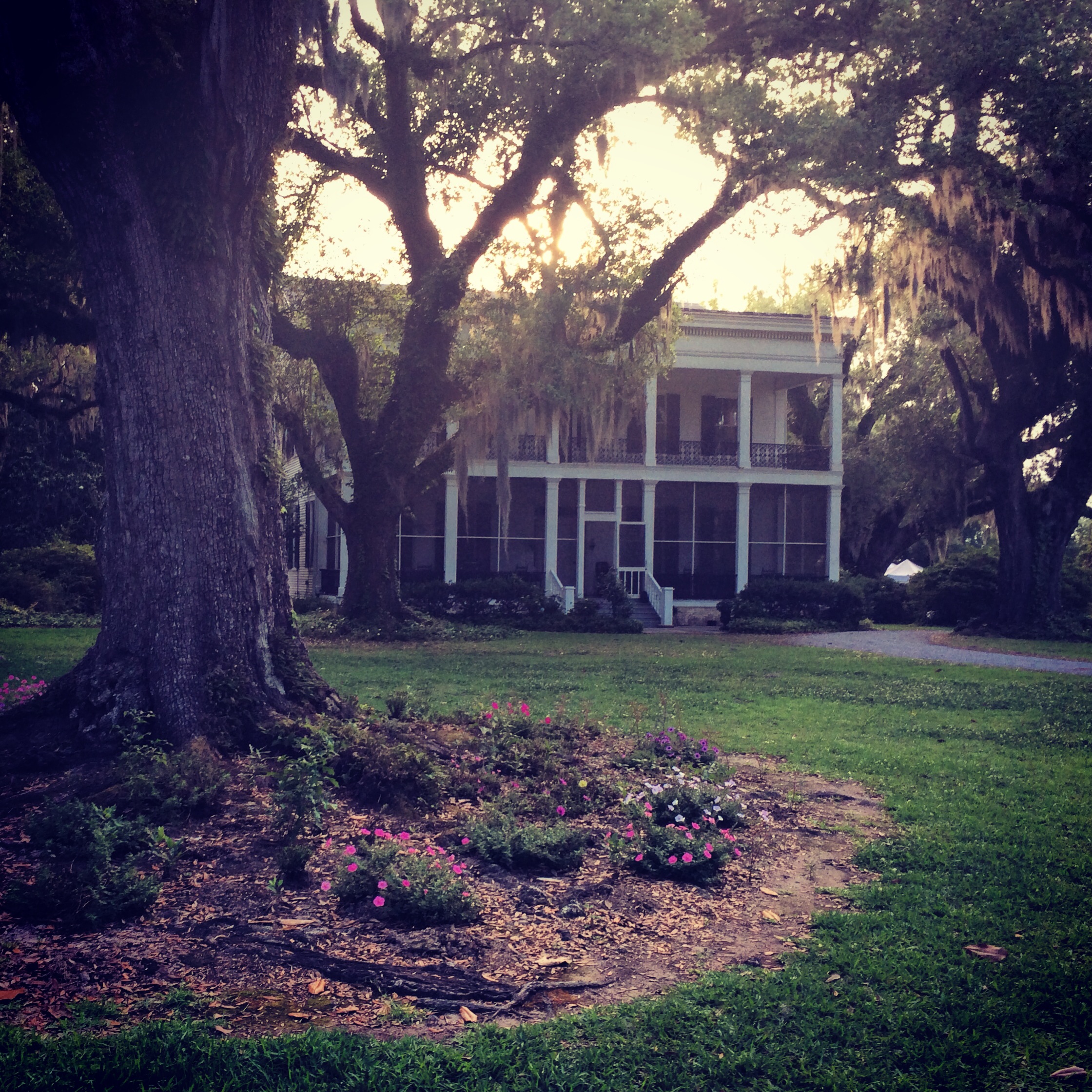 Inside Scoop My Set Visit to the filming of The Best of Me 