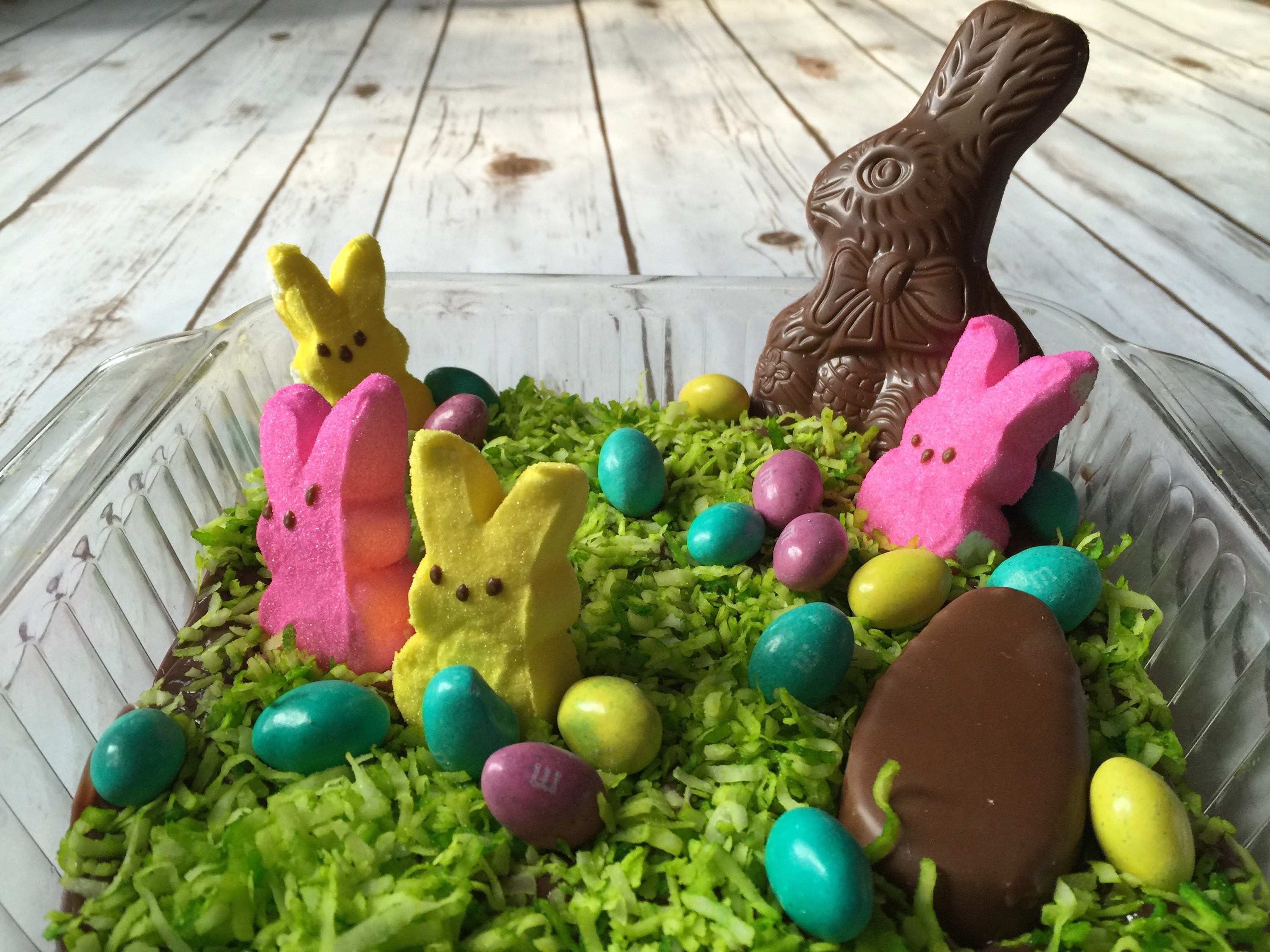 DIY Jelly Bean Garden How to Video Classy Mommy