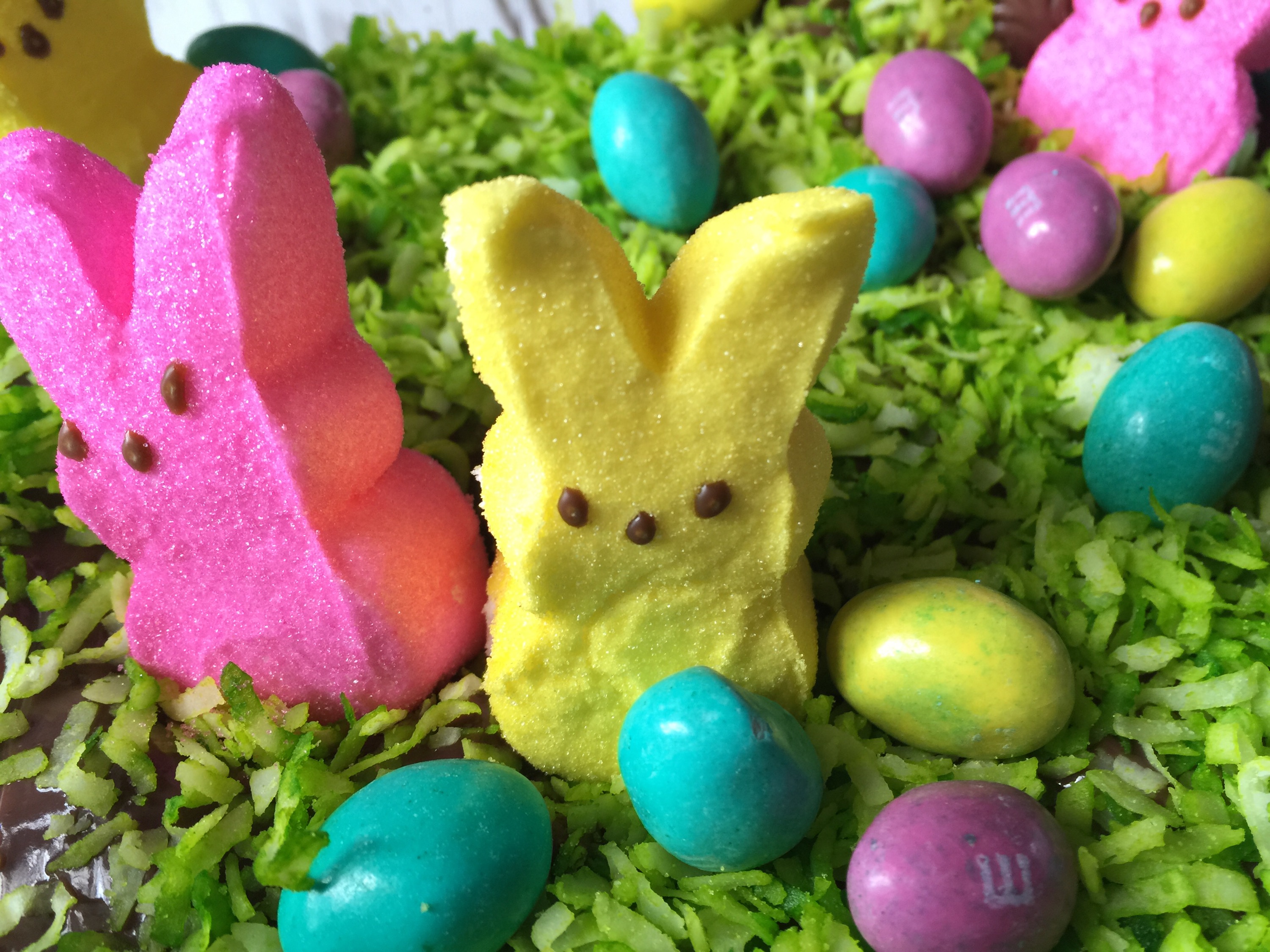 DIY Jelly Bean Garden How to Video Classy Mommy