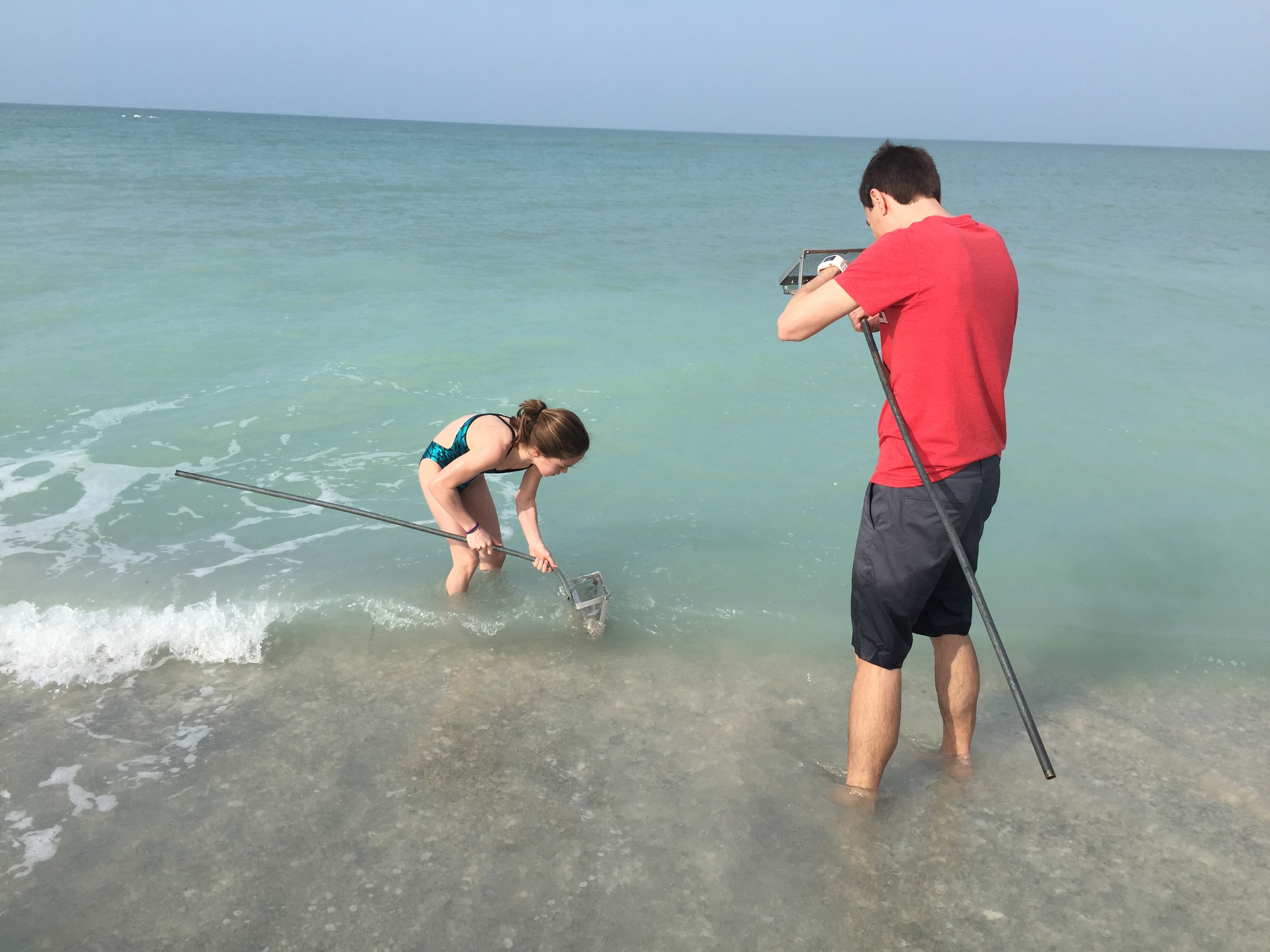 How to Find Shark Teeth at Venice Beach LoveFL Classy Mommy