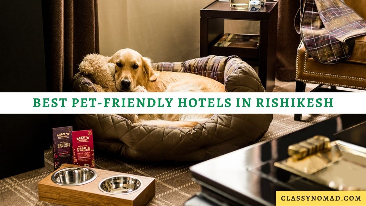 10 Best PetFriendly Hotels in Rishikesh Classy Nomad