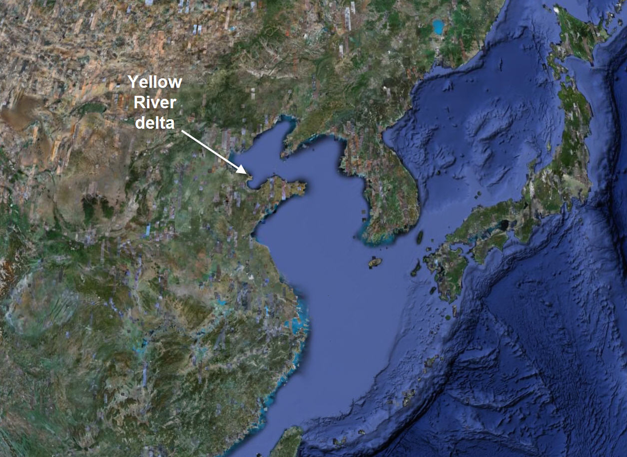 Changes in morphology of the Yellow River delta from 1979 to 2000