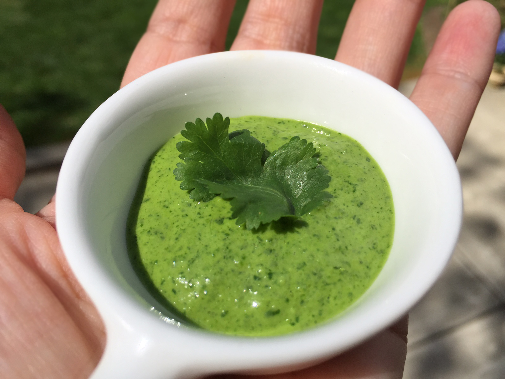 Cilantro Crack Sauce Safe for all ages. Real Foodies Tasty Bits