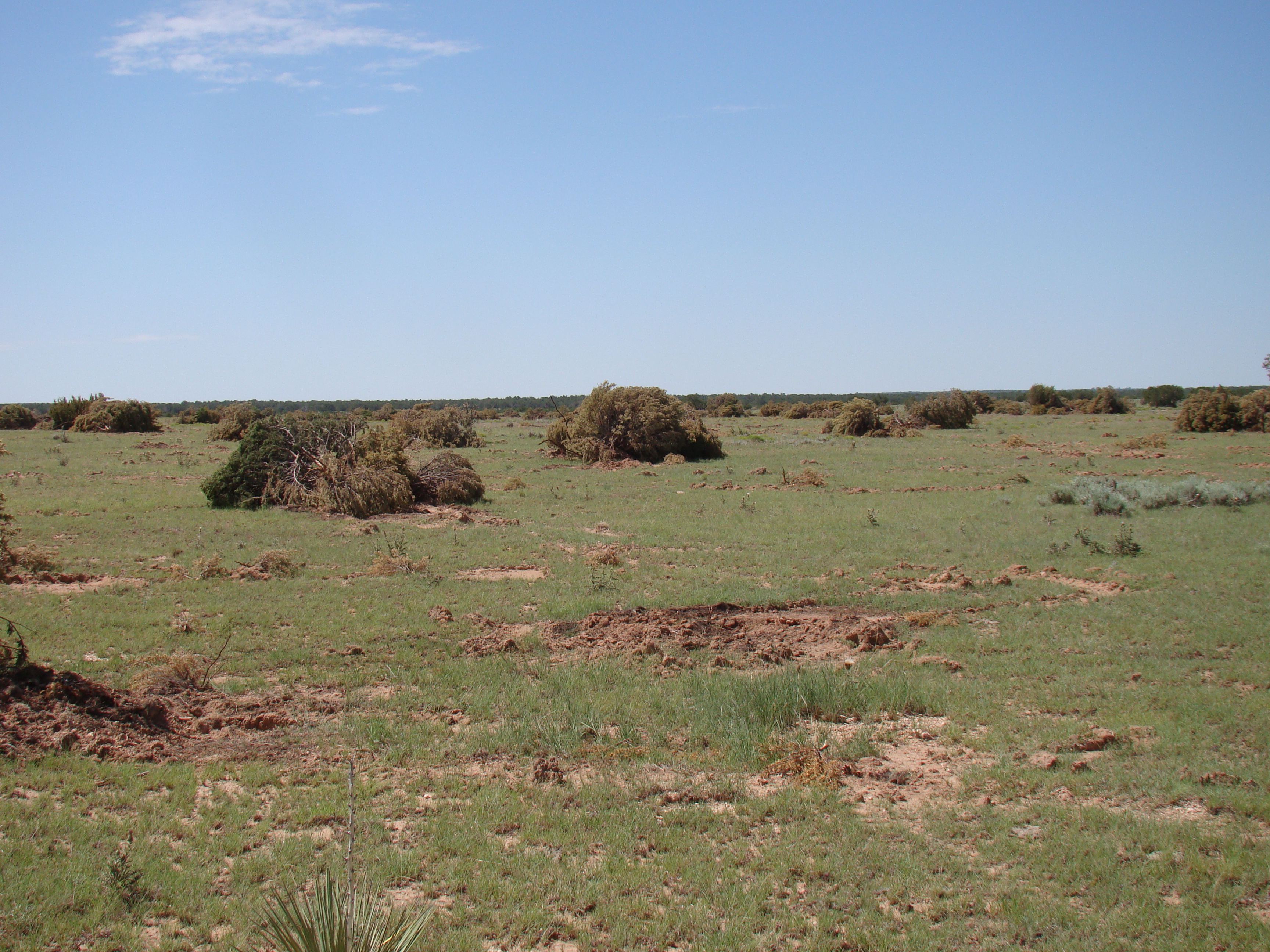 NRCS Information ClaunchPinto