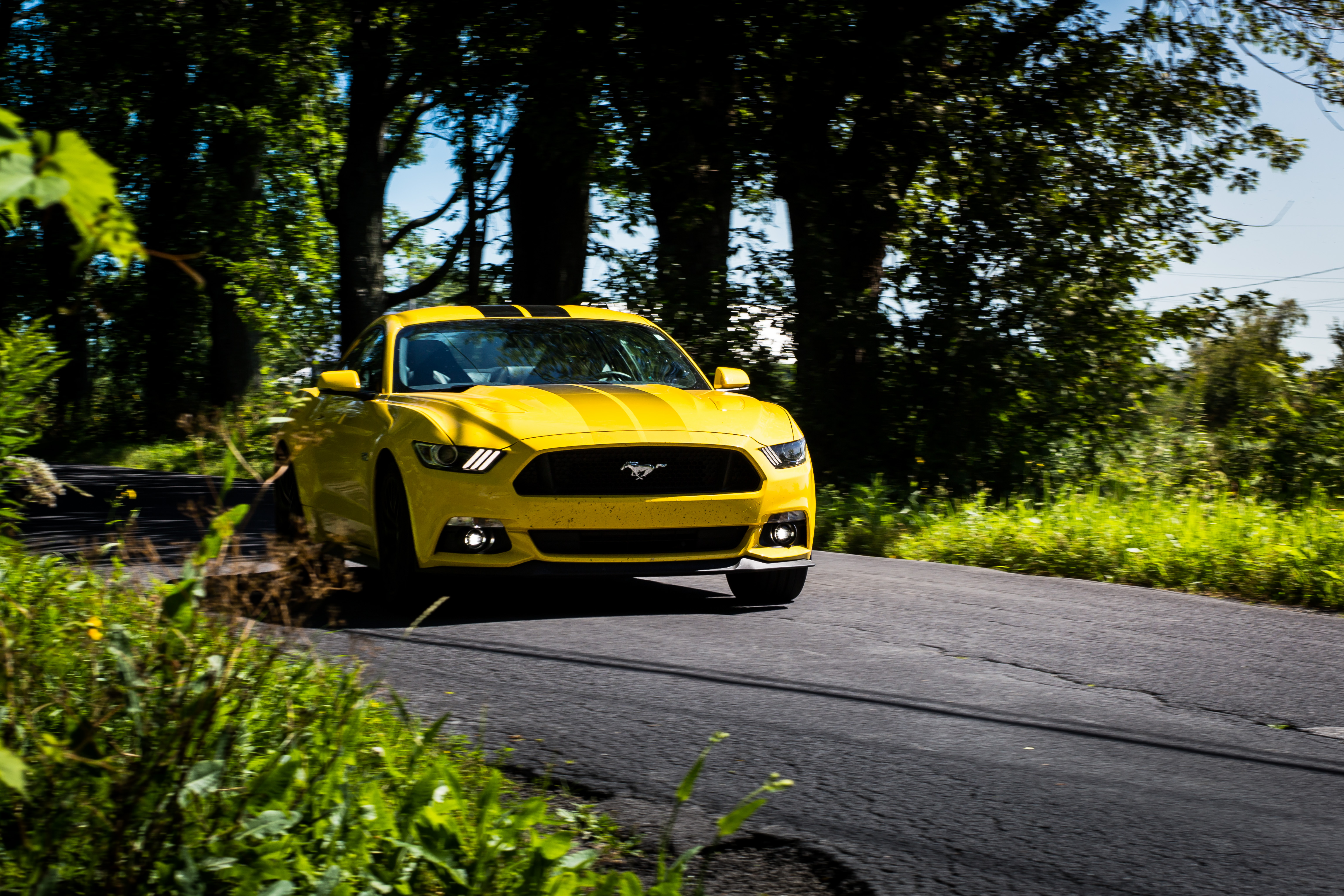 2017 Ford Mustang GT Clavey's Corner
