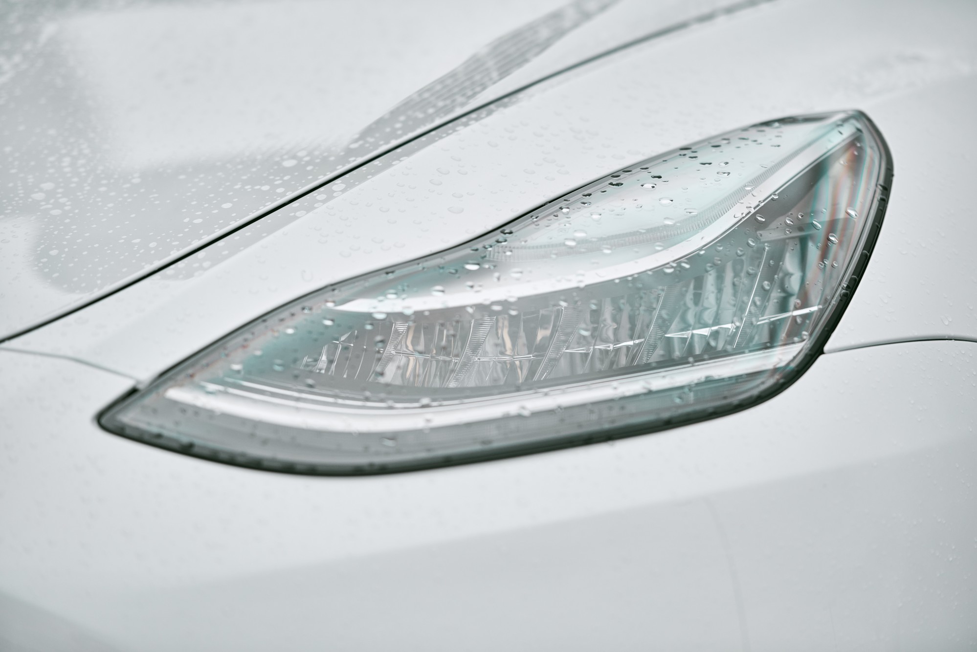 2021 Tesla Model Y Headlights Clavey's Corner