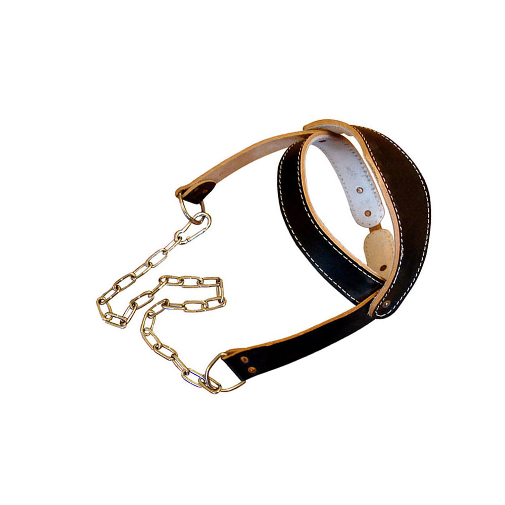 Head Harness Clawbone