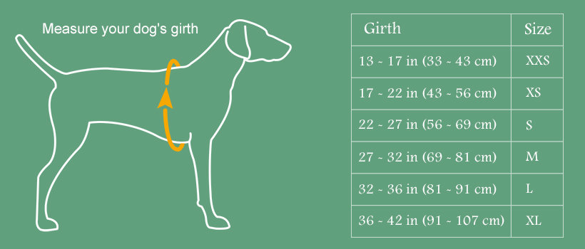 Dog Life Jacket Size Chart