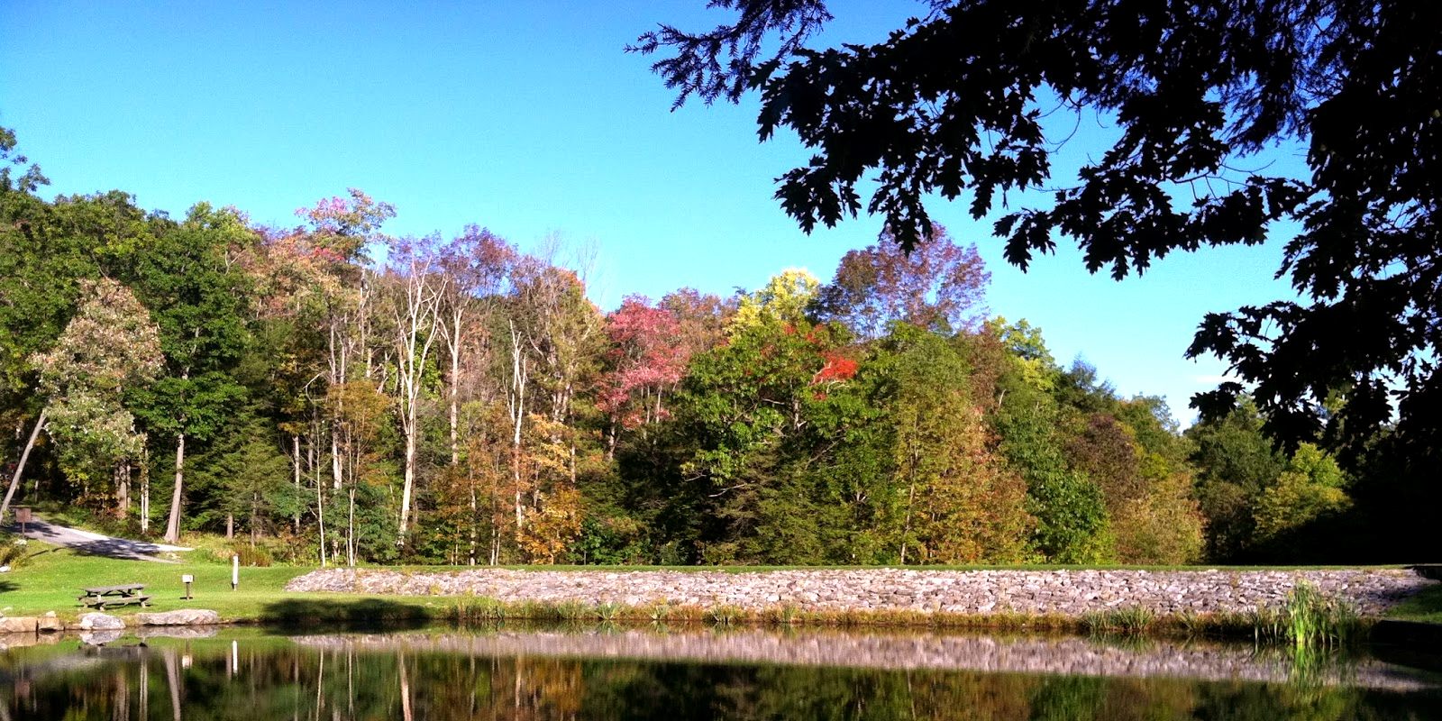 Kooser State Park Seven Springs Cabin Rentals Chalets