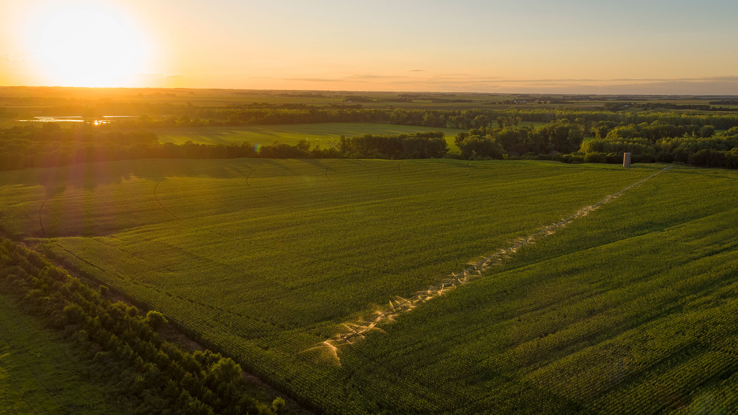 Clay County Farms Clay County Farms
