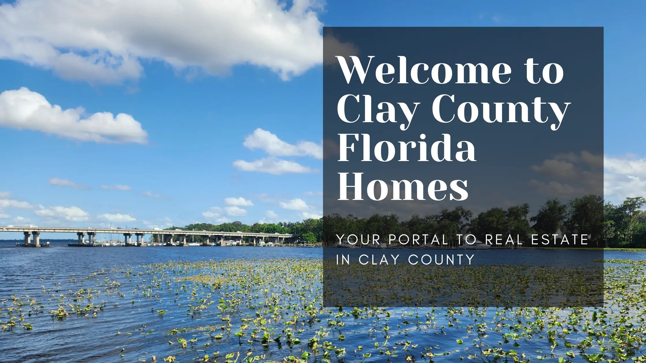 Clay County Homes Clay Florida Homes Your Gateway to Homes and Real