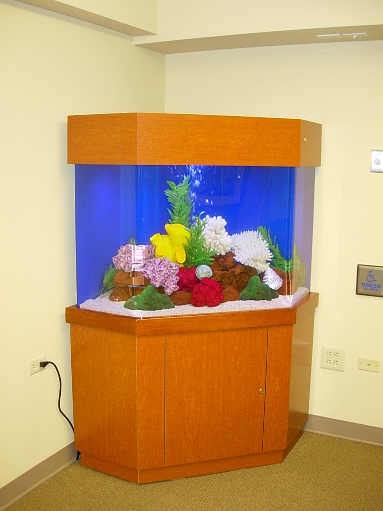 Corner Pentagon Clayton Aquariums