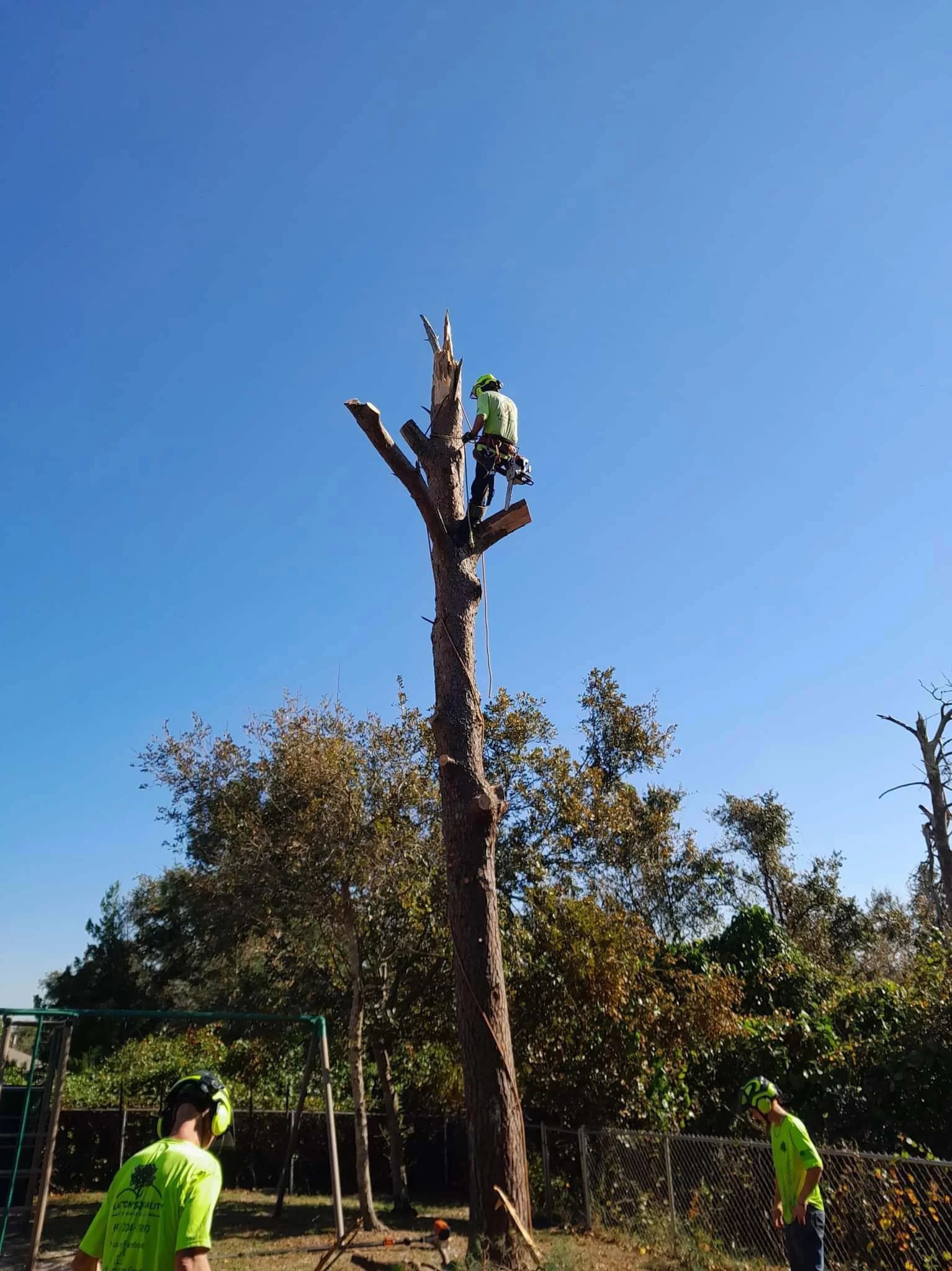 Projects Clayton's Quality Tree Service LLC