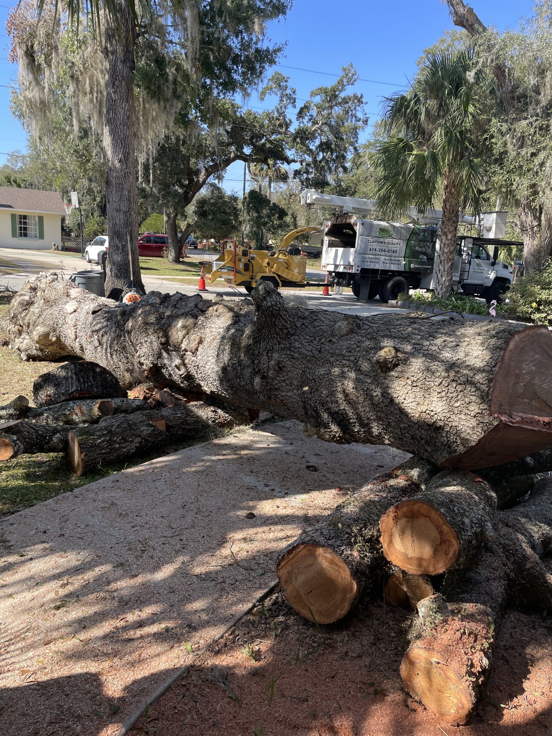 Projects Clayton's Quality Tree Service LLC