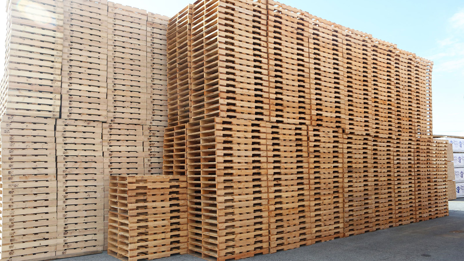 Services Commercial Lumber & Pallet Company Pallet Manufacturer