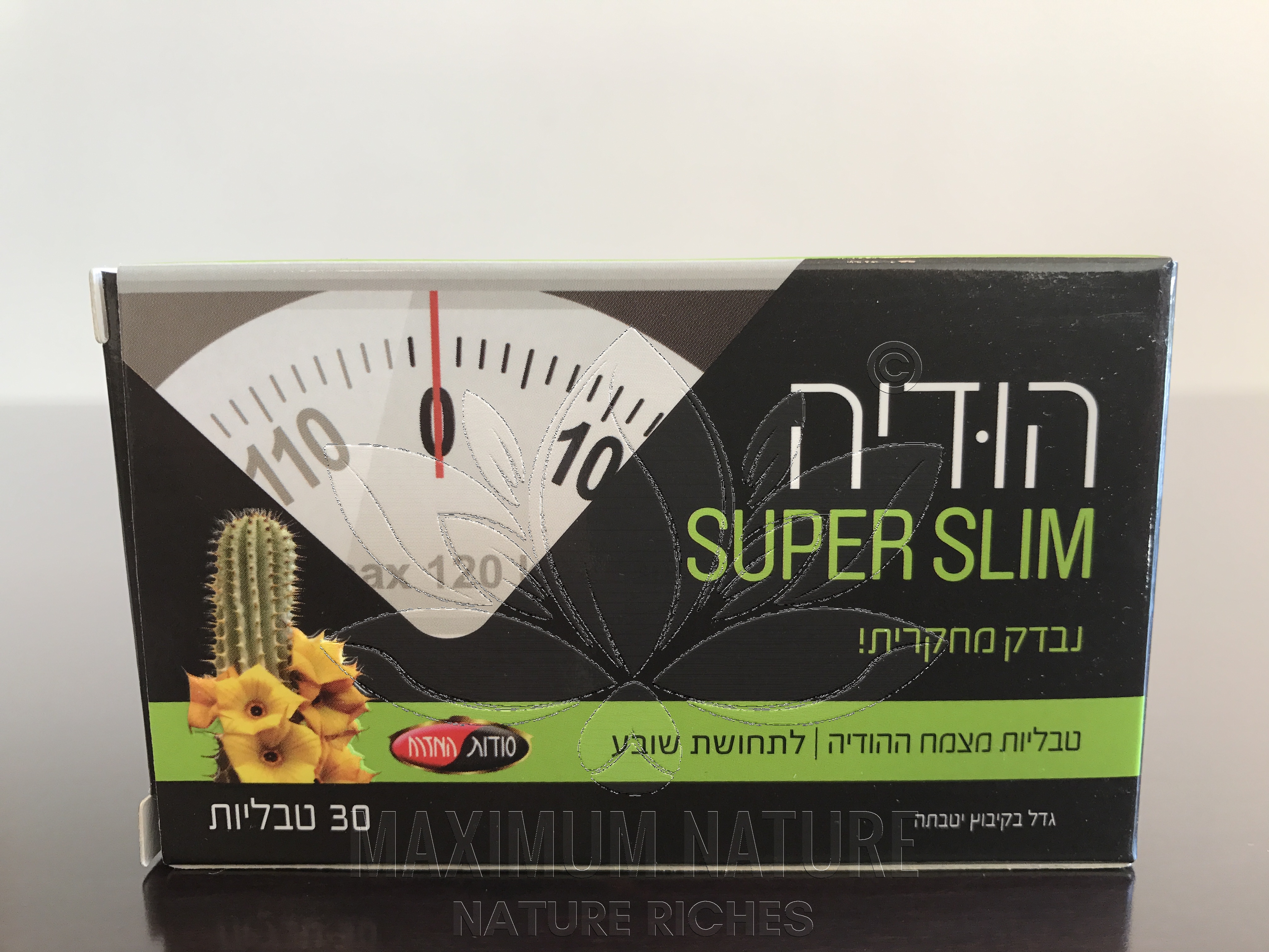 FAT BURNER DIET PILLS HOODIA EXTREME WEIGHT LOSS SLIMMING APPETITE