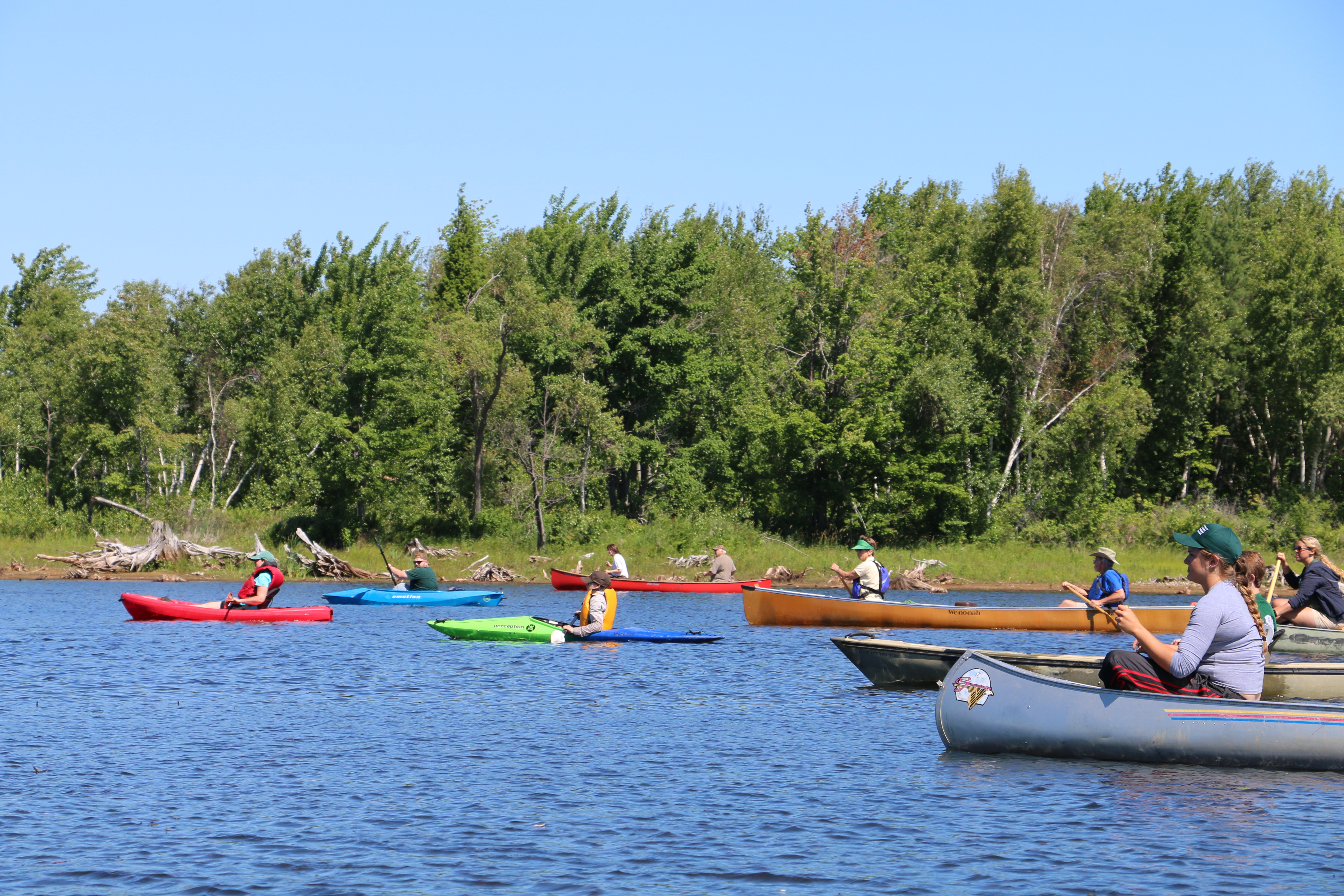 Goosin' Around The 2016 DEC Wilson Hill Goose Drive Nature Up North