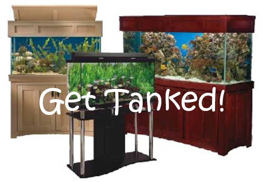 Aquarium Maintenance Service Fish Tank Cleaning Services