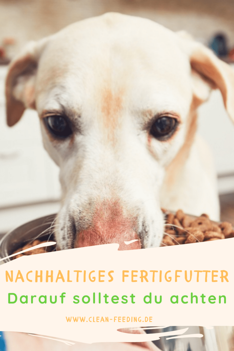 So kannst du nachhaltiges Fertigfutter für deinen Hund finden