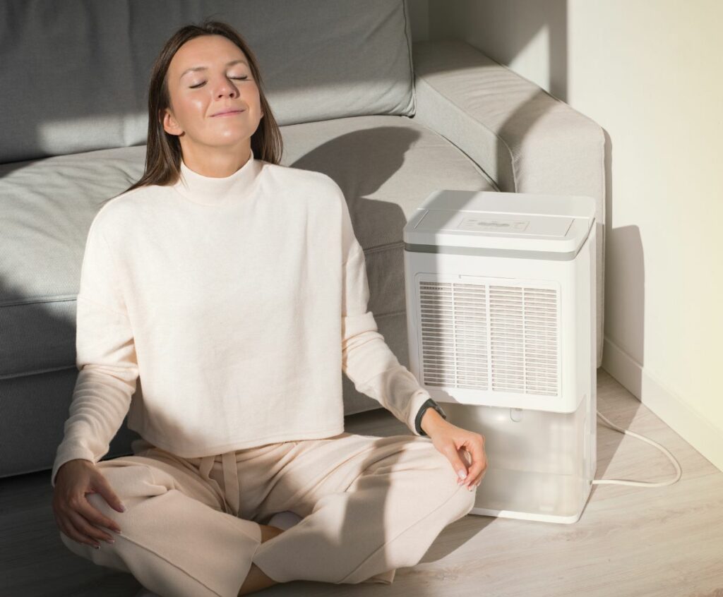 Air Purifier vs Humidifier Which One Should you Pick?