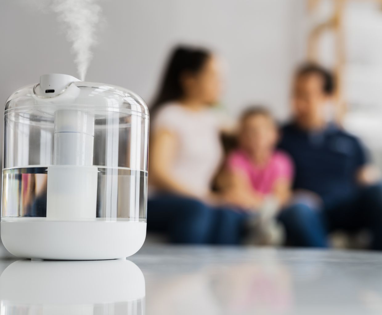 How to Prevent Humidifier Mold? Clean Air Guides