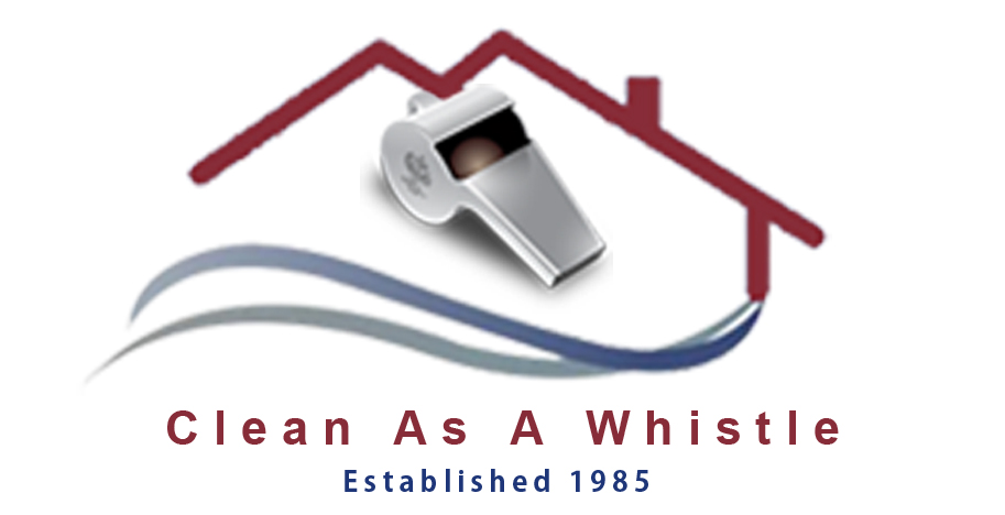 Clean As A Whistle - MeaningKosh