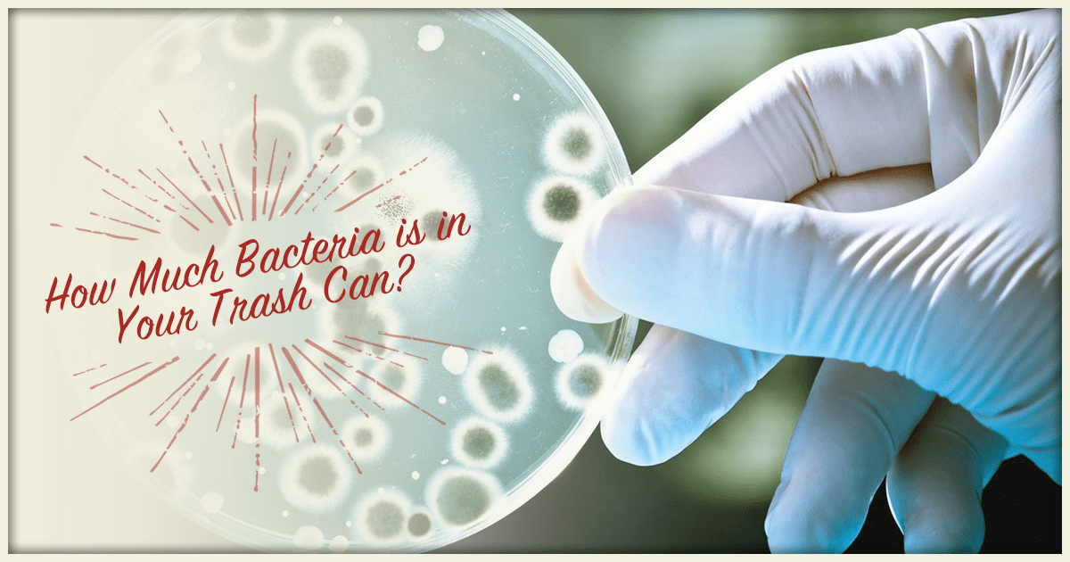 How Much Bacteria is in Your Trash Can? Clean Cans