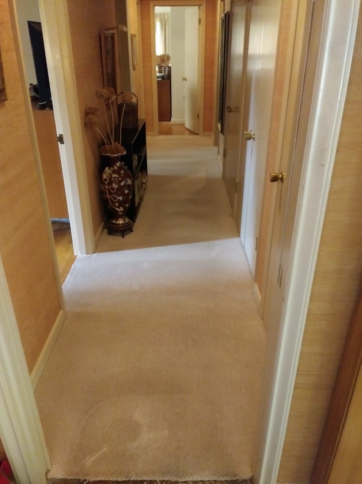 Gallery Portland, Hillsboro, Beaverton, OR Absolute Carpet Cleaning Inc