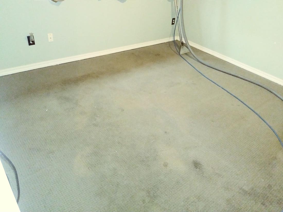 Gallery Portland, Hillsboro, Beaverton, OR Absolute Carpet Cleaning Inc