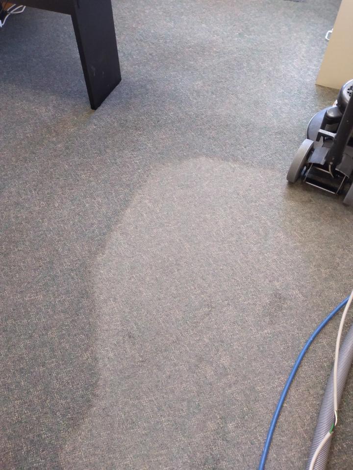 Gallery Portland, Hillsboro, Beaverton, OR Absolute Carpet Cleaning Inc