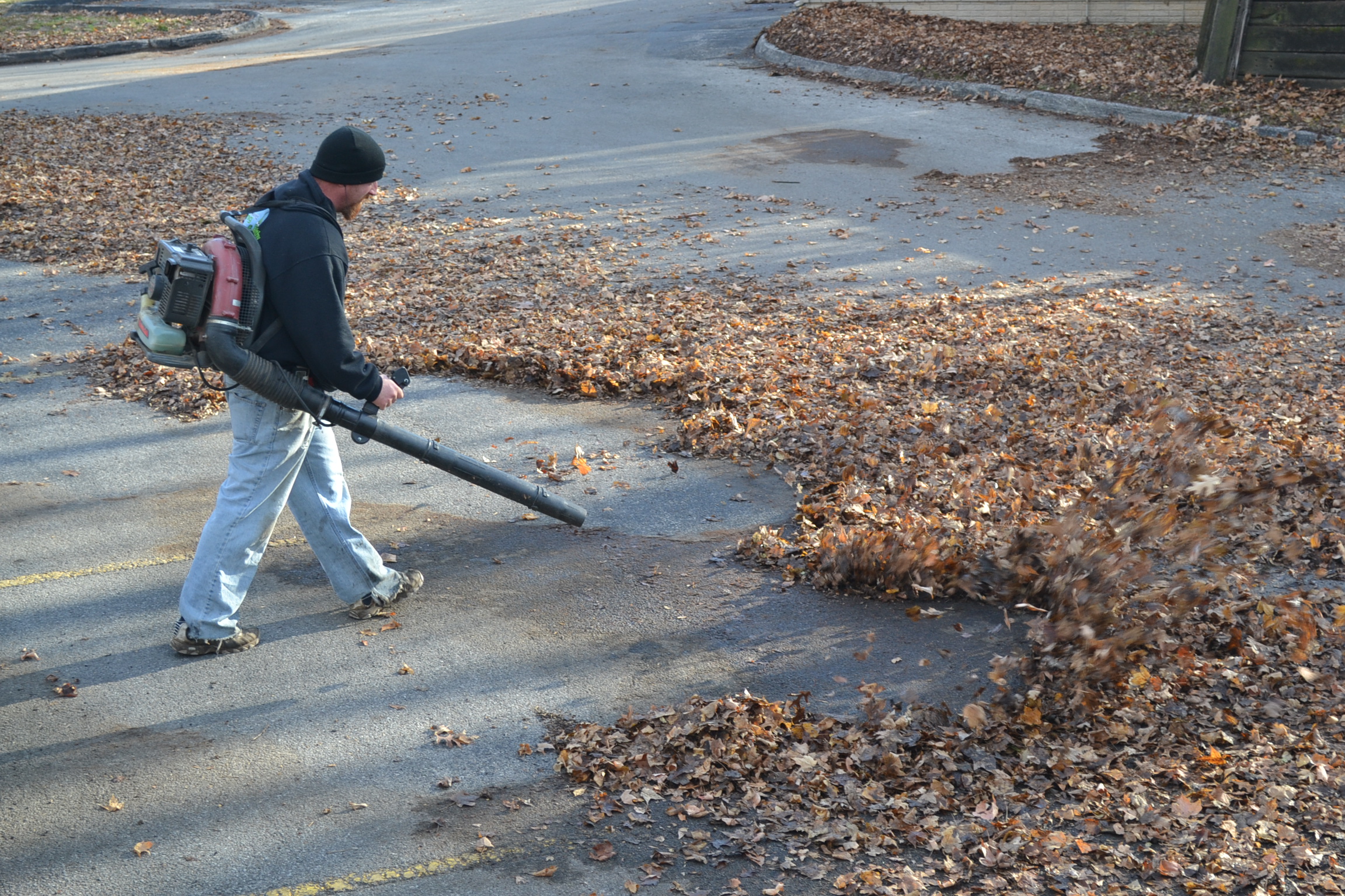 Fall leaf cleanup is necessary to keep your property in shape.