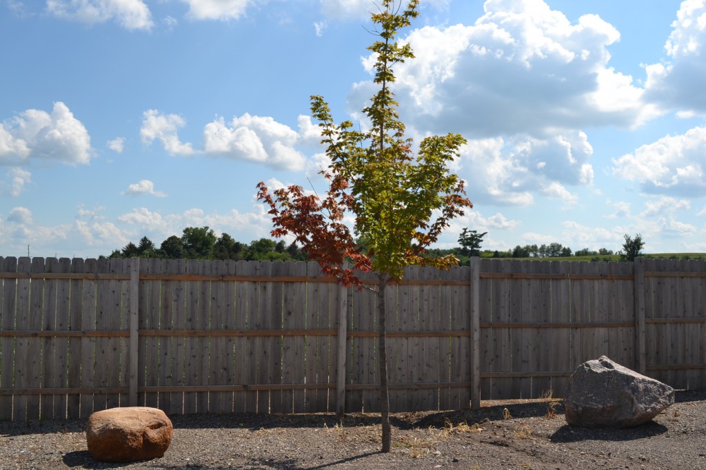 Early fall means cooler temperatures and changing leaves.