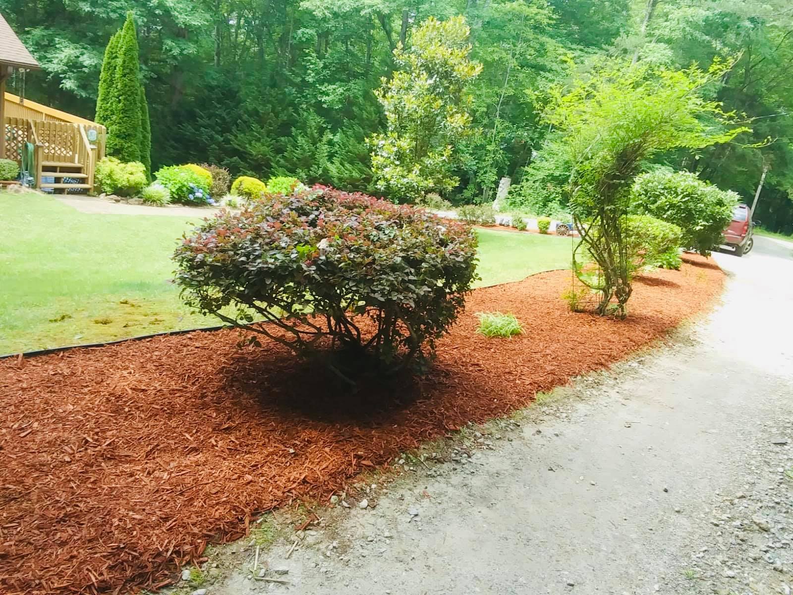 Clean Cut Tree Service My WordPress Blog